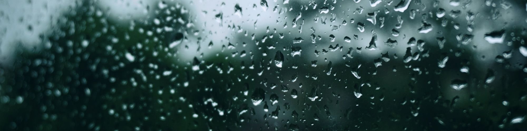 Water droplets from rain on a window